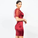 Red Lace Sleeves Back Zipped Mini Dress