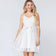products/WHITELACESTIFFMESHEDCAMIMINIDRESS_1_5f1e9f00-4f17-4947-baa7-f2d28be080b5.jpg