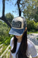 files/71f70d7e-5bae-48f9-90d1-24b4ed88748c.jpg