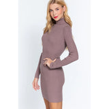 Turtleneck Sweater Mini Women's Dress